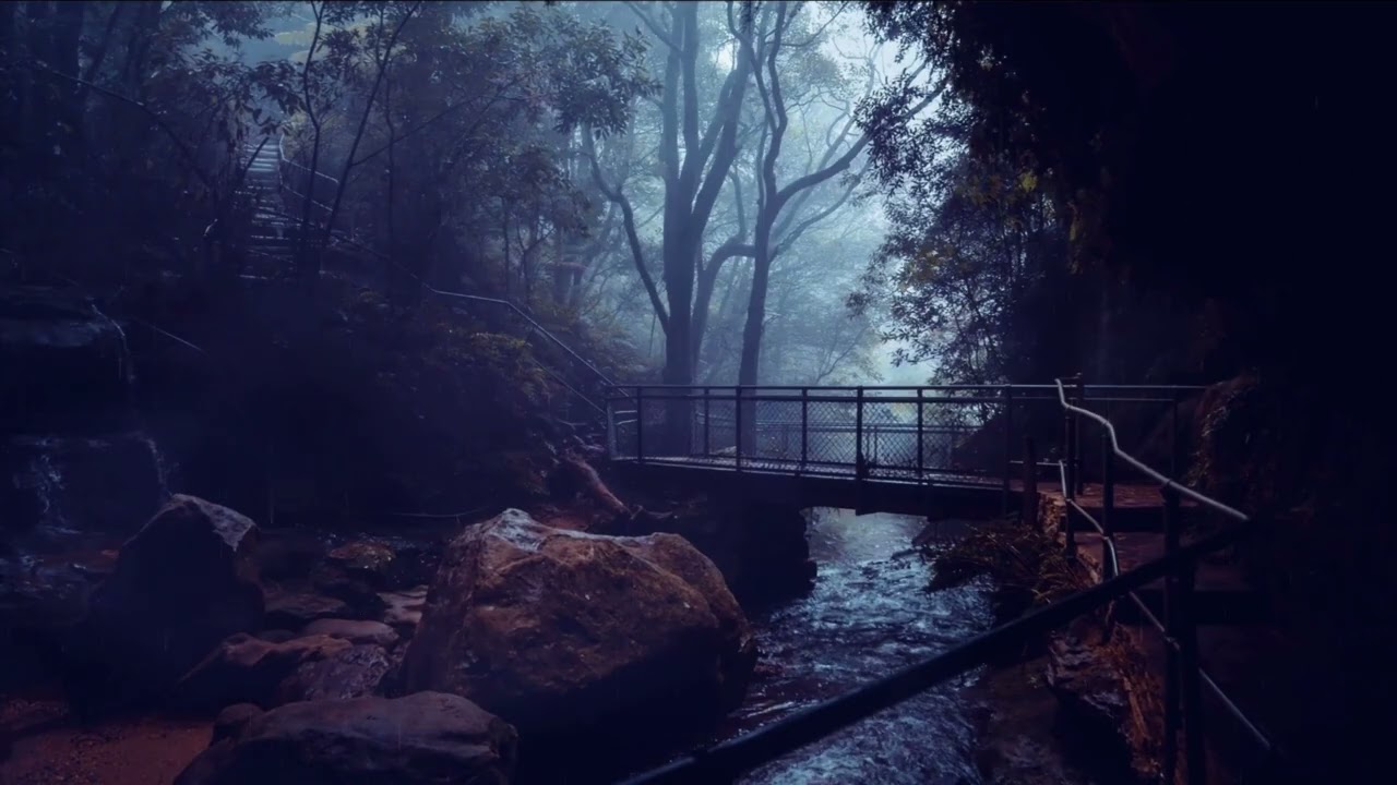 Bird Sounds & Nature Ambience for Deep Sleep 🌿🐦 | Relaxing Night Sounds
