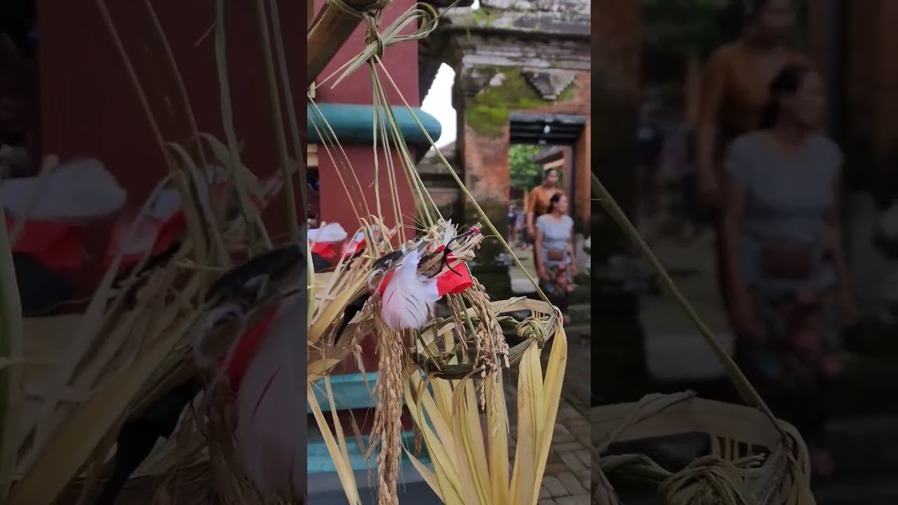 Sarana Upacara Pitra Yadnya Ngaben di Bali #bali #indonesia #culture #budayabali #ngaben