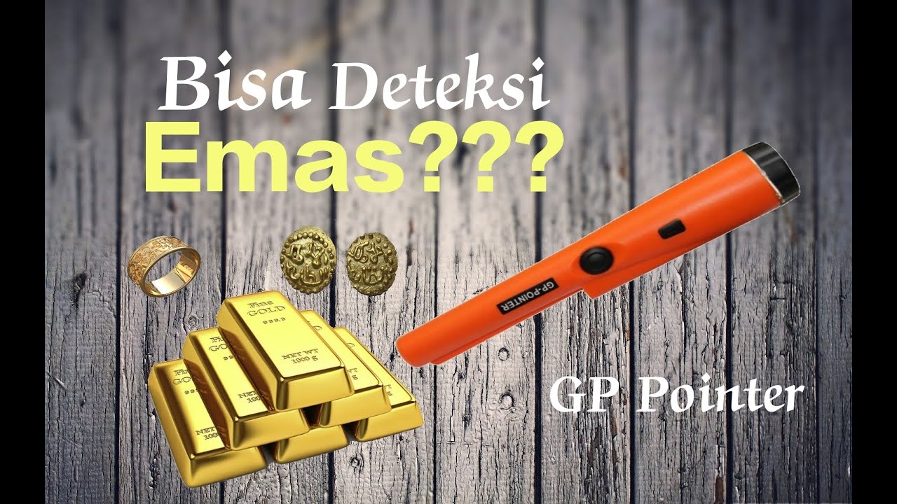 Metal detector GP Pointer