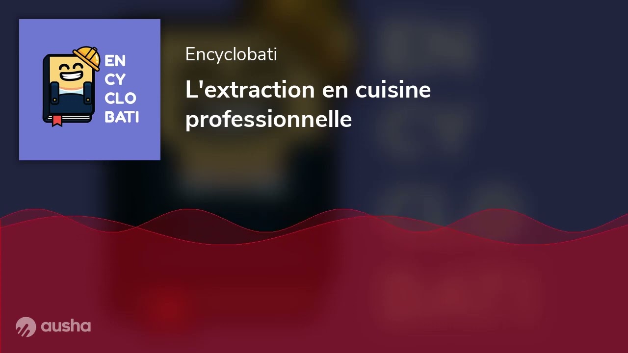 L'extraction en cuisine professionnelle