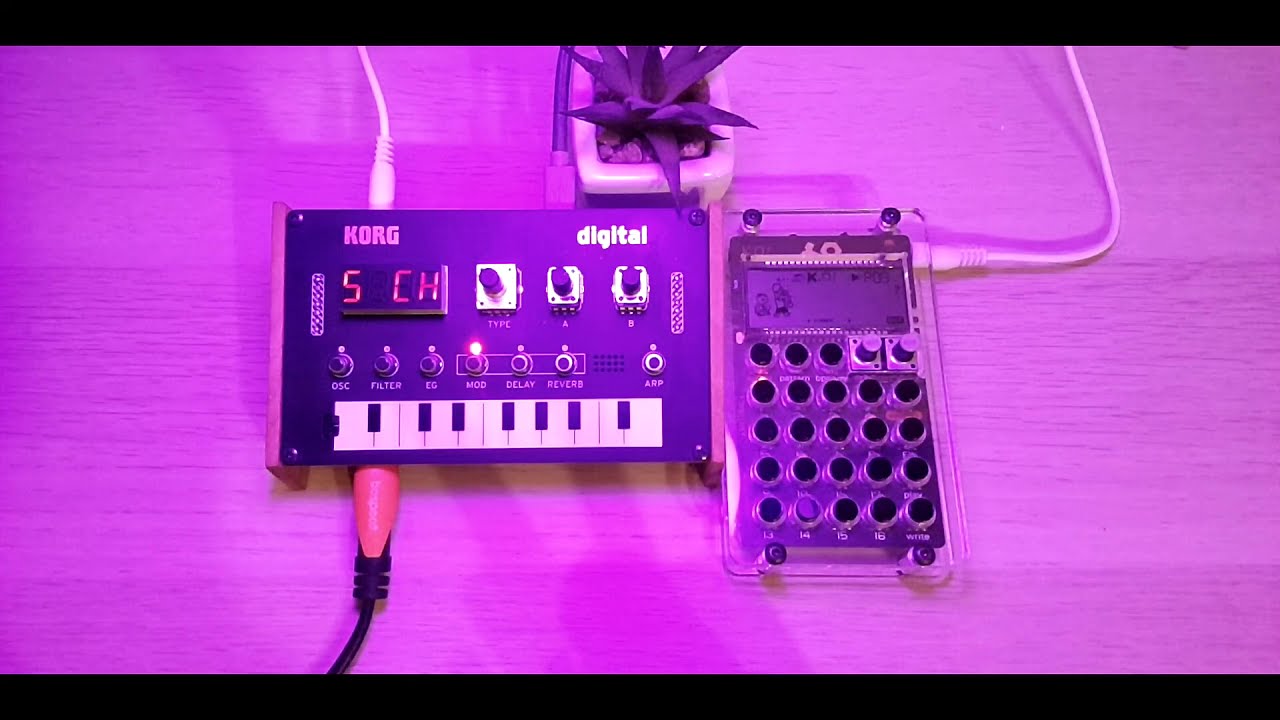 Pocket Operator 33 & Korg NTS-1: Ambient LoFi