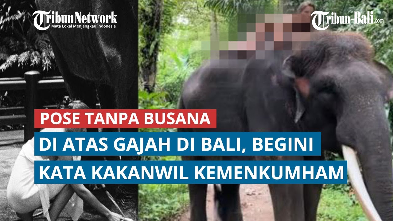 VIRAL Model Rusia Pose Tanpa Busana di Atas Gajah di Bali, Begini Kata Kakanwil Kemenkumham