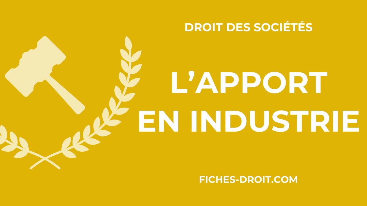 L'apport en industrie (définition, domaine et régime)