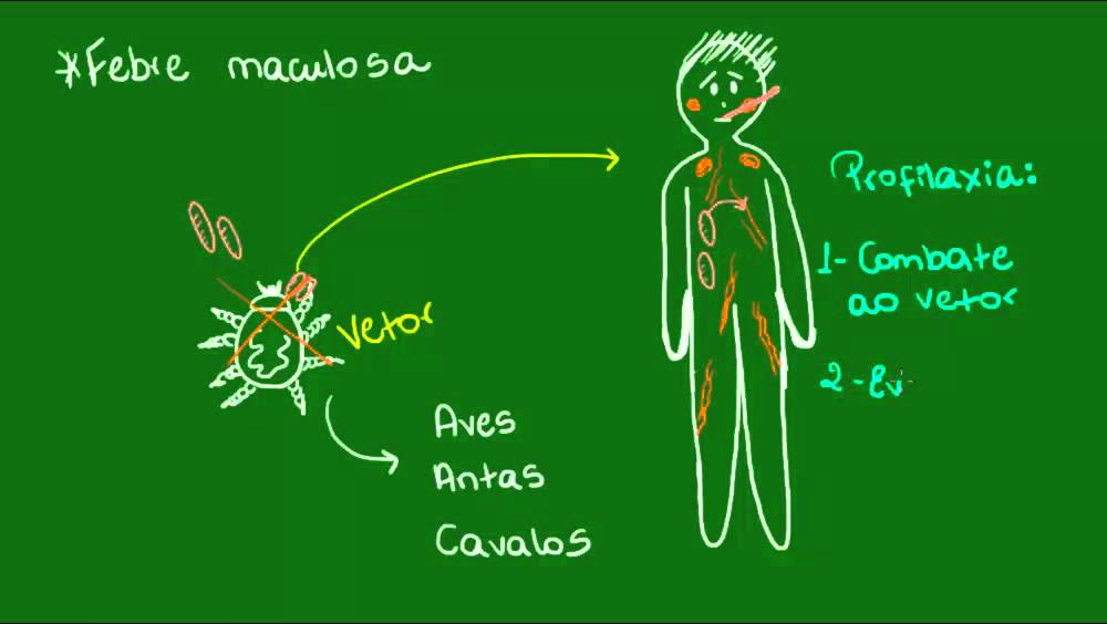 Febre maculosa e peste - Parasitologia - Biologia