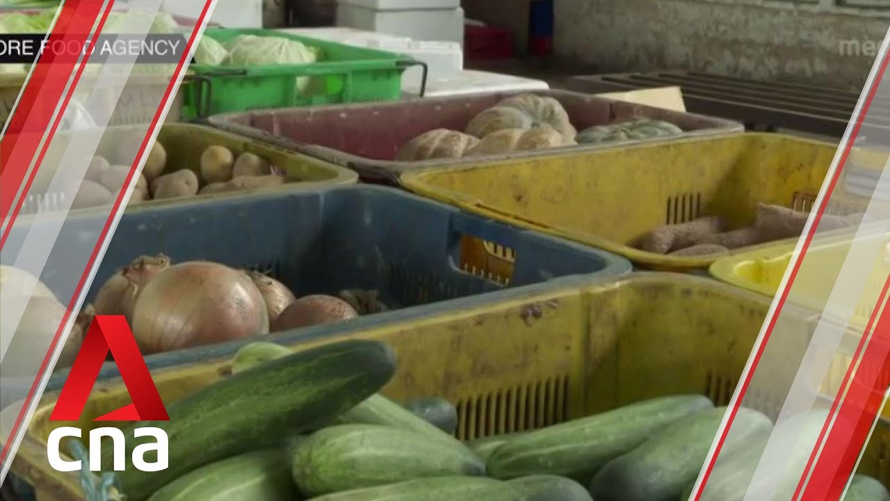 Food importer fined for bringing in illegal fresh vegetables, processed food from Malaysia