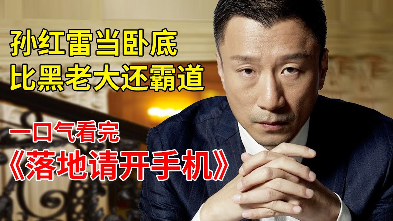 一口气看完孙红雷巅峰之作《落地请开手机》，当卧底比黑社会还狠！
