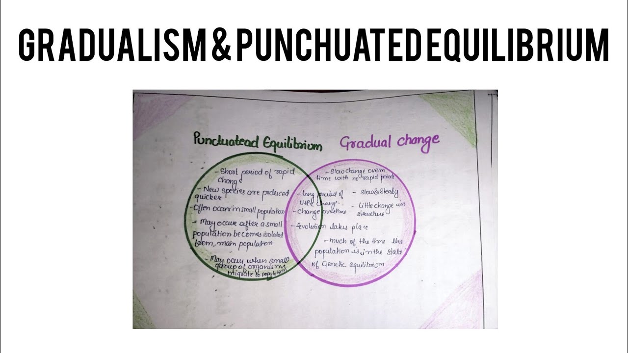 Gradualism and punchuated equilibrium #mscbotany #handwrittennotes