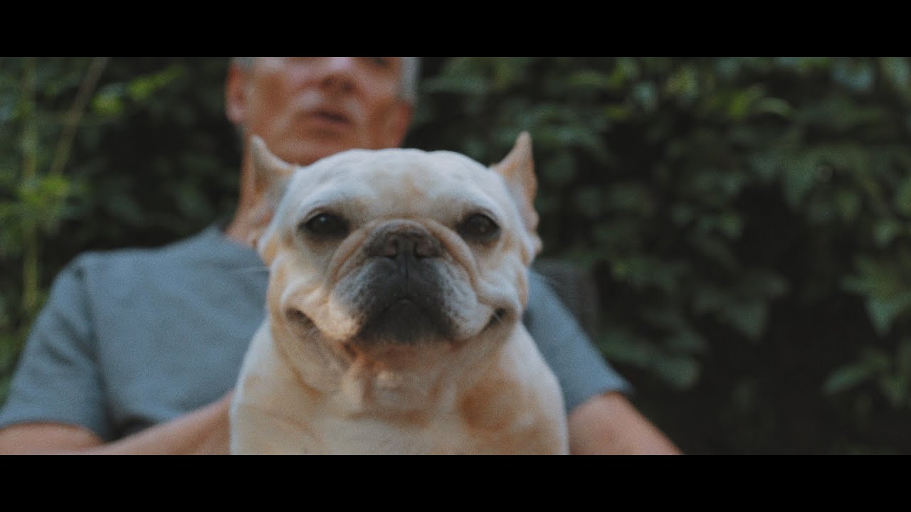 Asher Roth - Mommydog (Official Video)