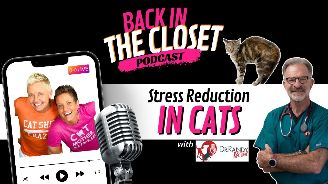 C.A.T.S. Series: “S” Is for Stress with Dr. Randy Aronson | Back In The Closet