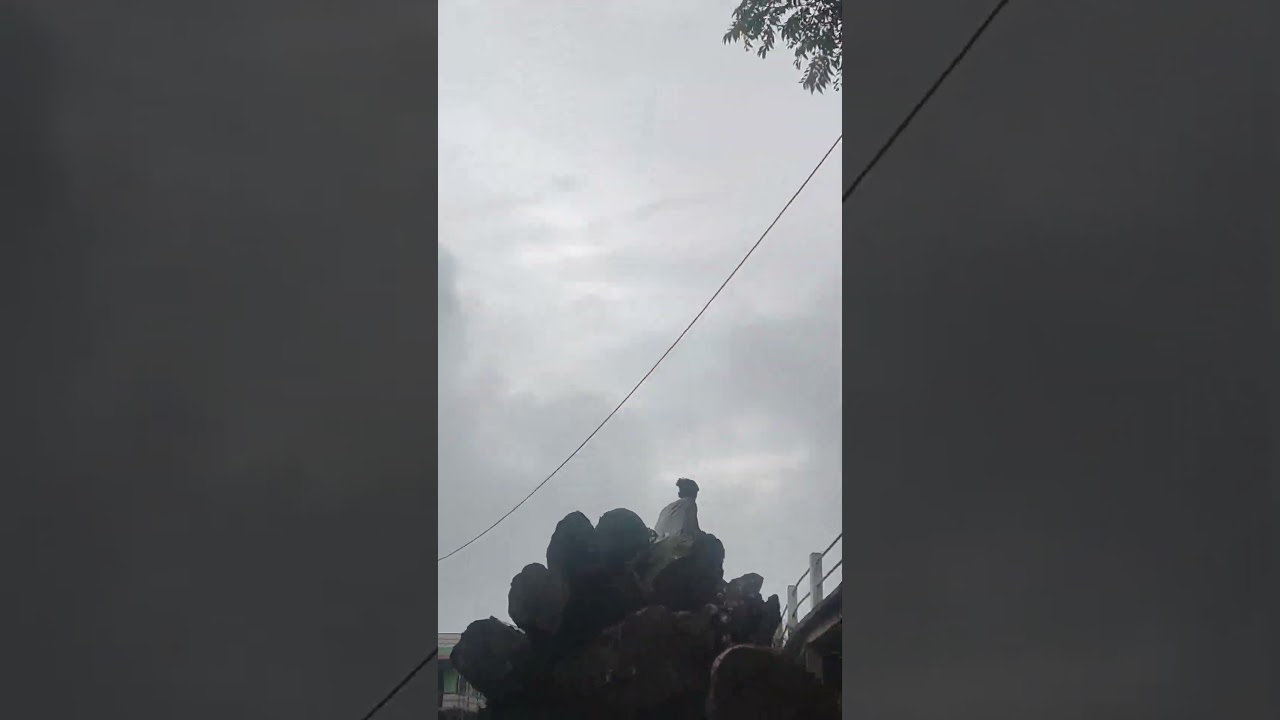 Truck Carrying Wood Log 