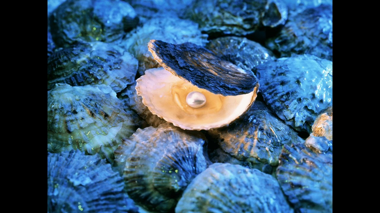 Pearl Diving Ballad
