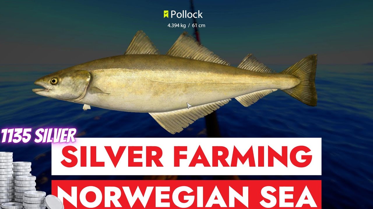 RUSSIAN FISHING 4 - RF4 - SILVER FARMING AT NORWEGIAN SEA - 1135 SILVER IN ONE HOUR