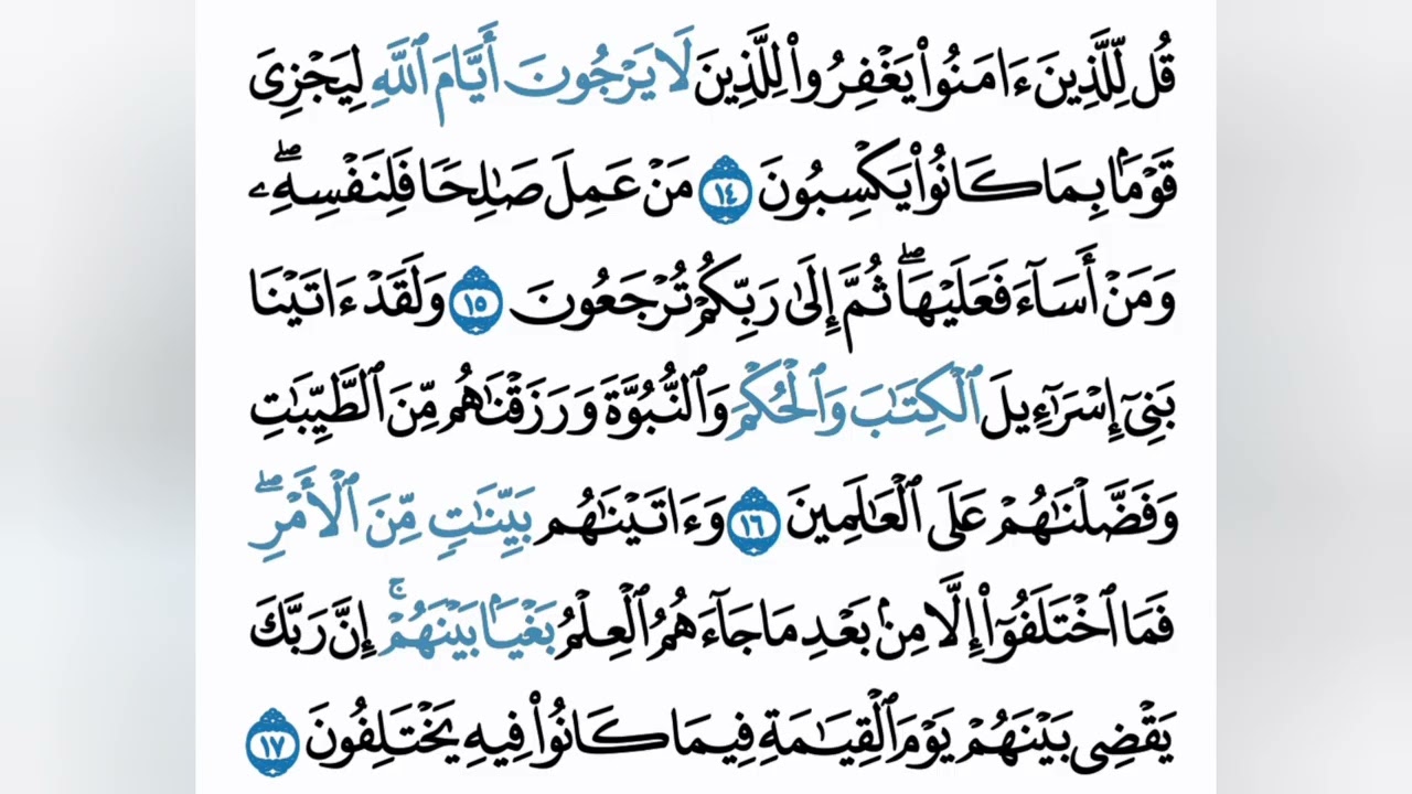 ما تيسر من سورة الجاثية #سورة_الجاثية #قران_كريم #حالات #ذكر_الله #quran #راحة_نفسية #حب_الله #لايك 