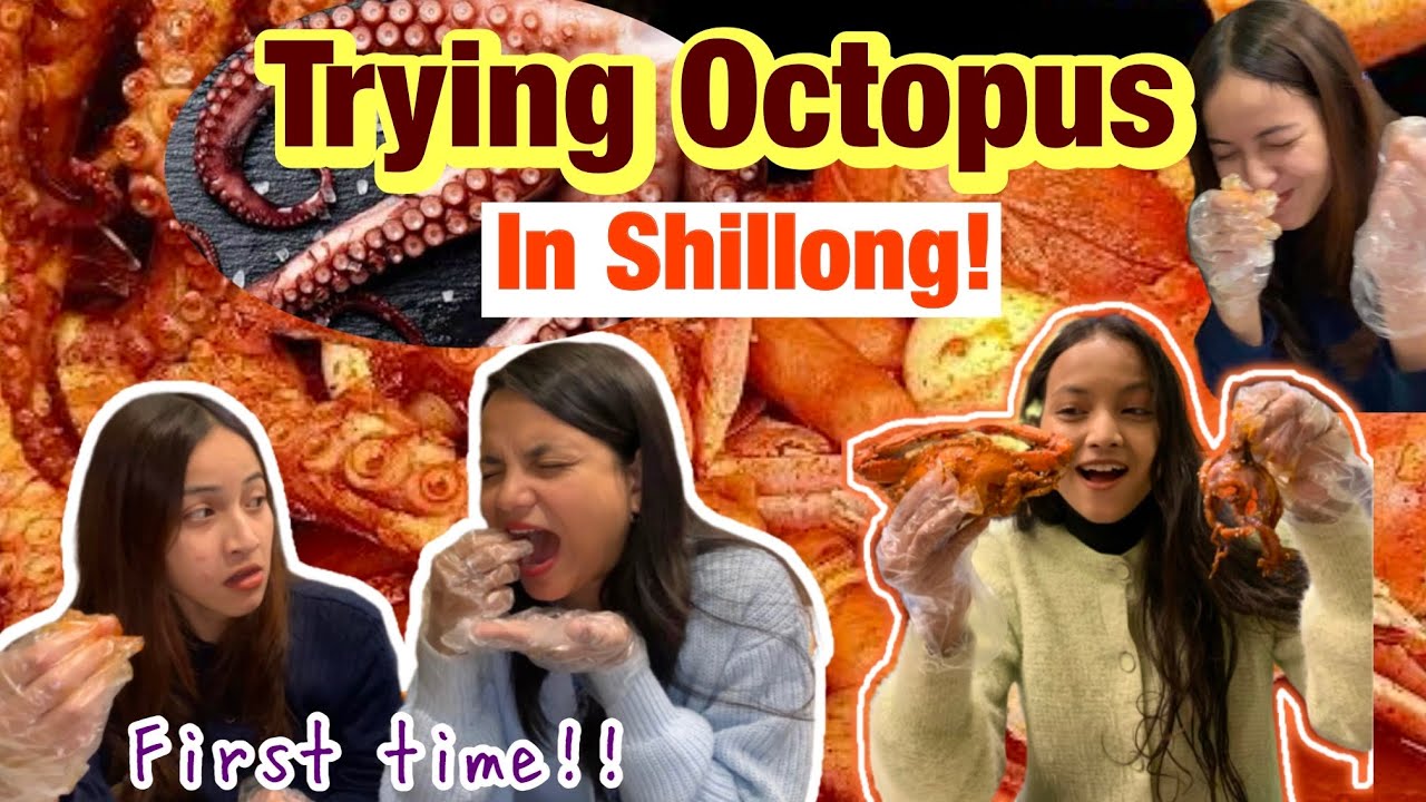 Trying octopus in Shillong for the first time|Sisters first reaction |Yay or nay |Shillong|M vlogs