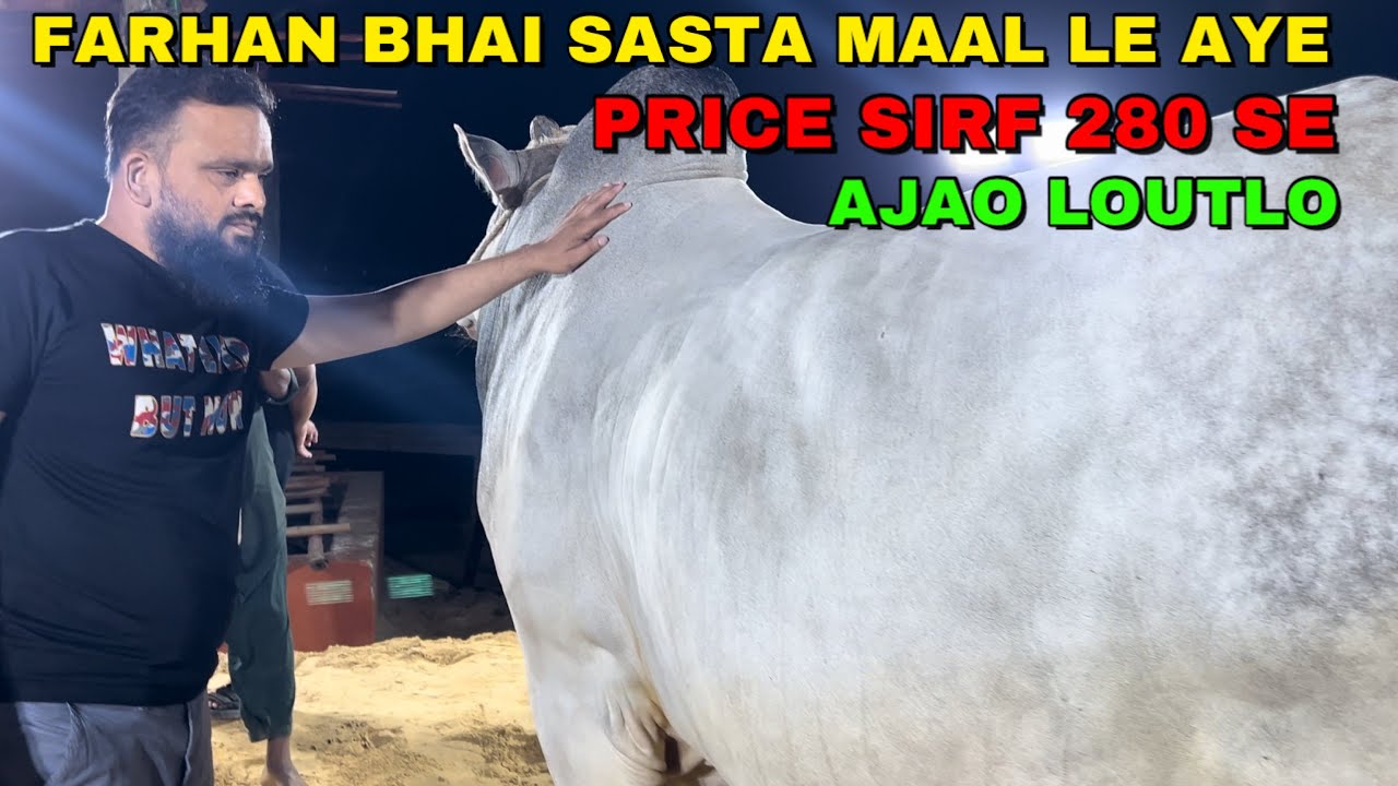 Farhan Bhai Ne Jameel Memon Society Mai Dhoom Machadi Sasta Maal Le Aye || Bakra Eid 2024 Ki Offer