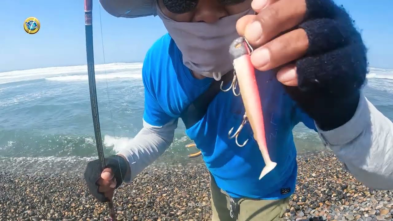 Consejos de Oro para Pescar Lenguados con Se&ntilde;uelos de Vinilo en Playas