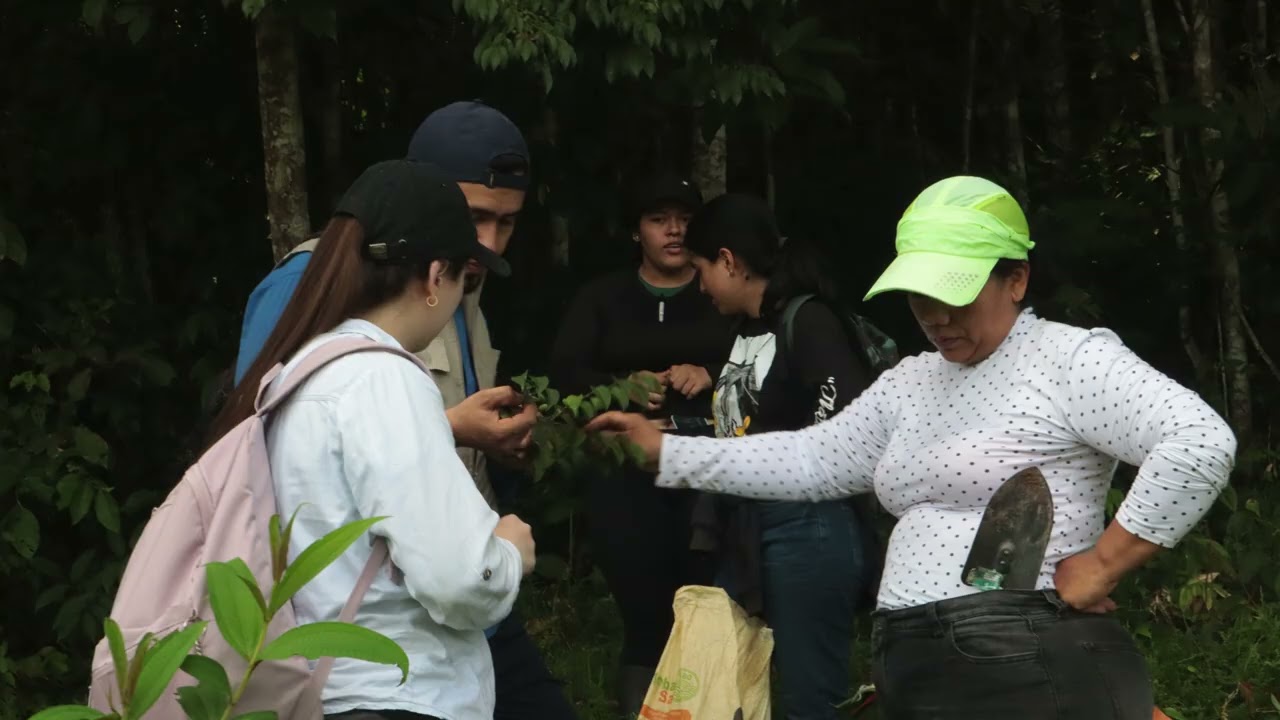 Centro de estudios y propagación de especies vegetales de la Amazonia colombiana