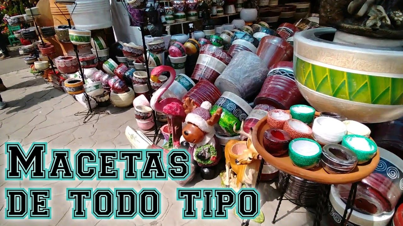 Macetas ideales para tu planta 