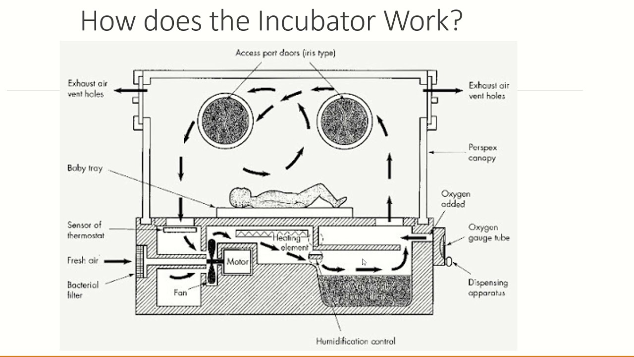The ICU Baby Incubator