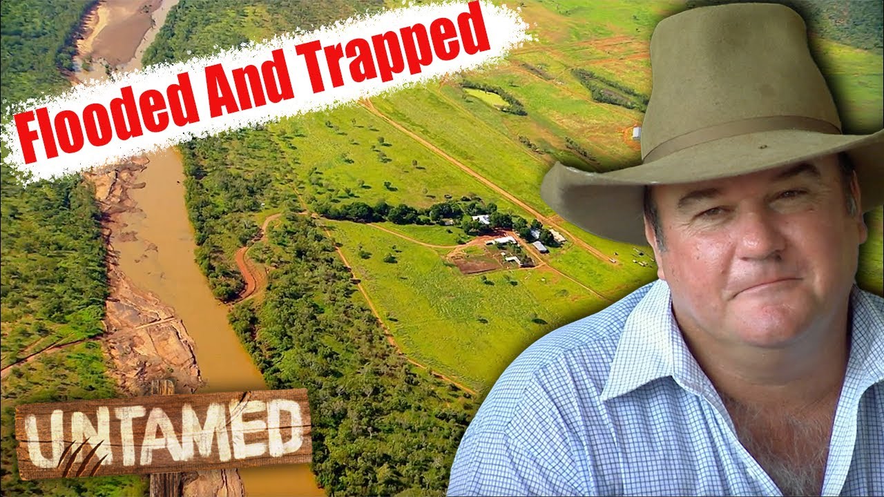 Coolibah Has Been Hit With a Major FLOOD! 🌊 | Keeping Up With The Joneses Clip | Untamed