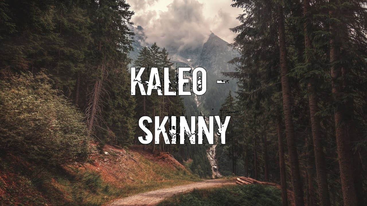Kaleo - Skinny [Acoustic Cover.Lyrics.Karaoke]