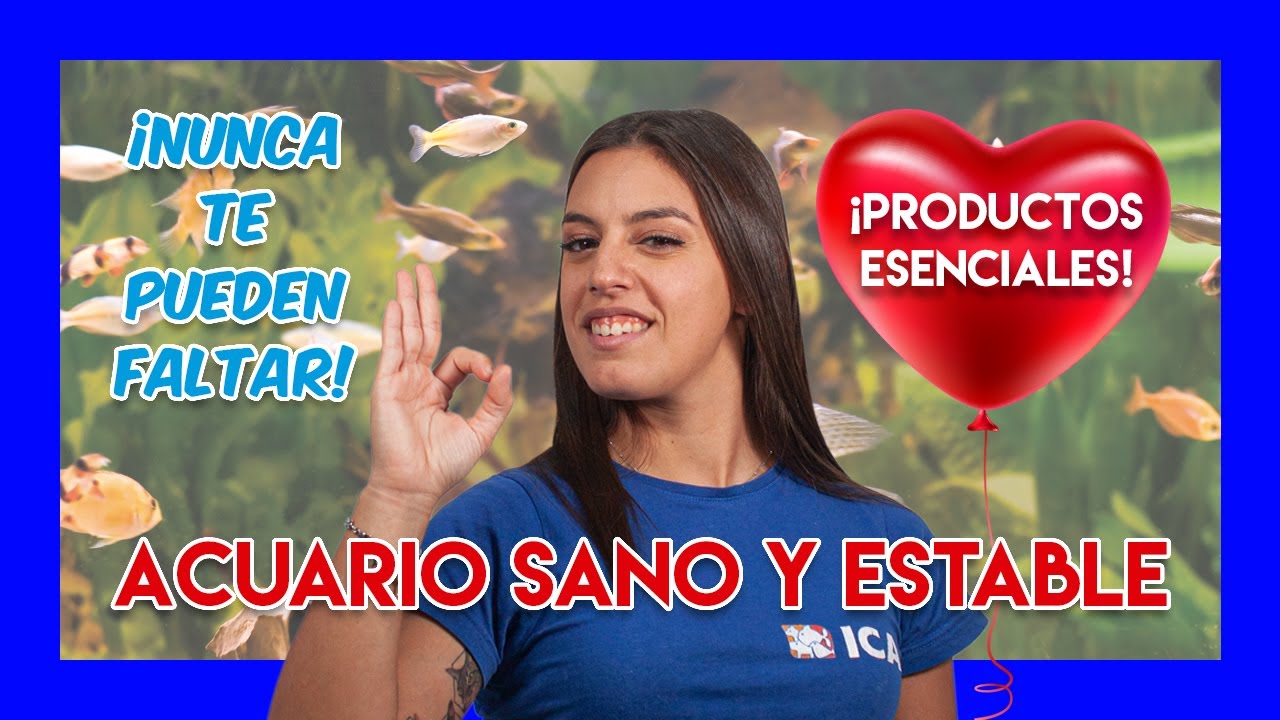 Mantenimiento del acuario: Productos indispensables #1