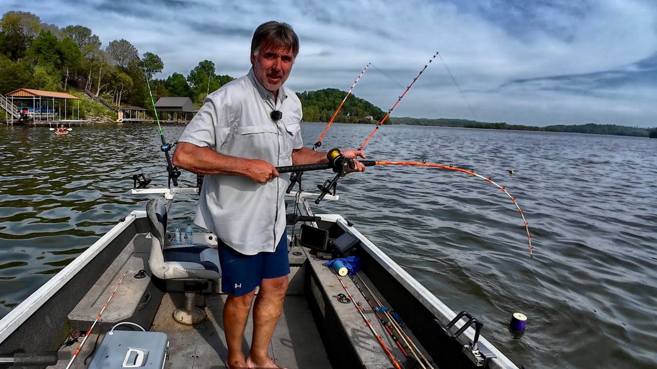 This is what can happen when you put two bananas in the boat!