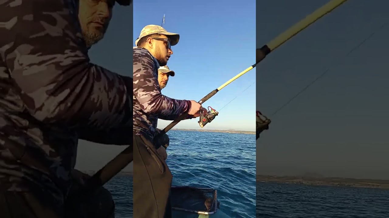 Adana yumurtalık liça avı