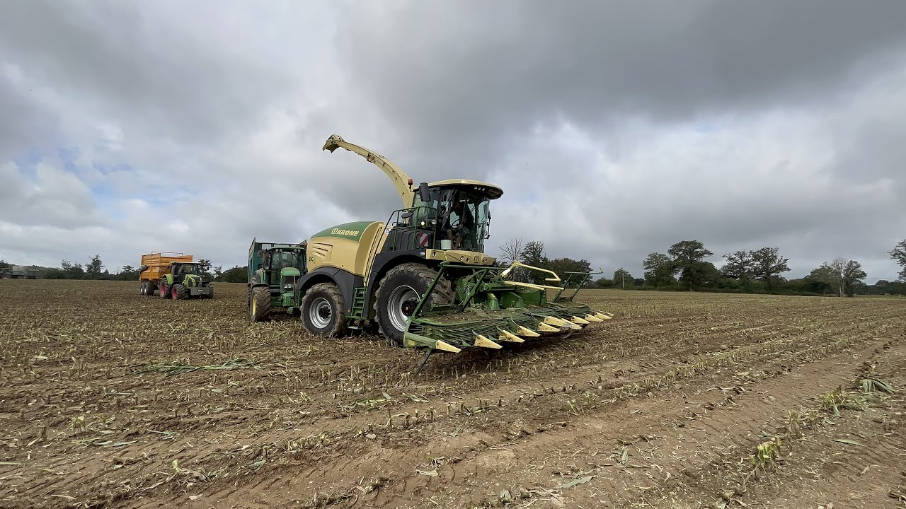 Démo Krone sur les dernier maïs fin octobre 🚜💨