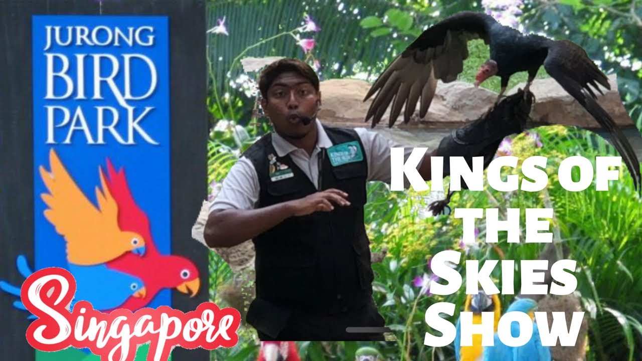 Kings of the Skies Show at Jurong Bird Park, Singapore