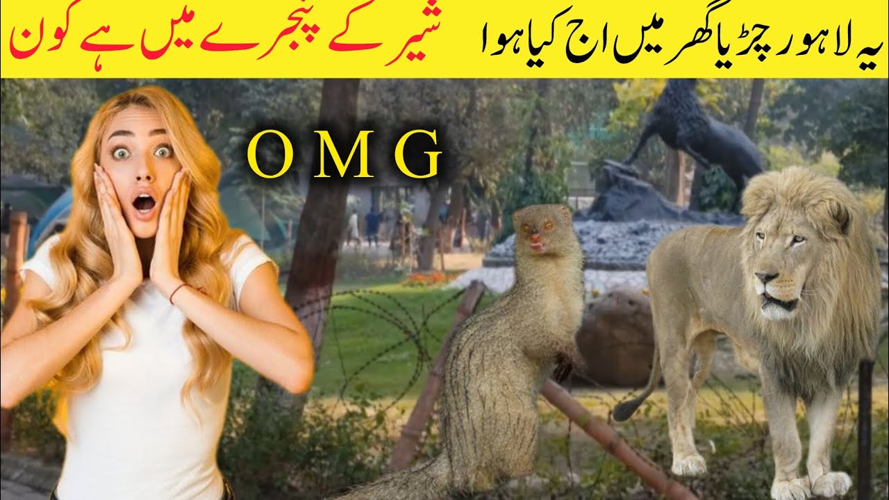 Inside Lahore Zoo: An Unforgettable Animal Adventure