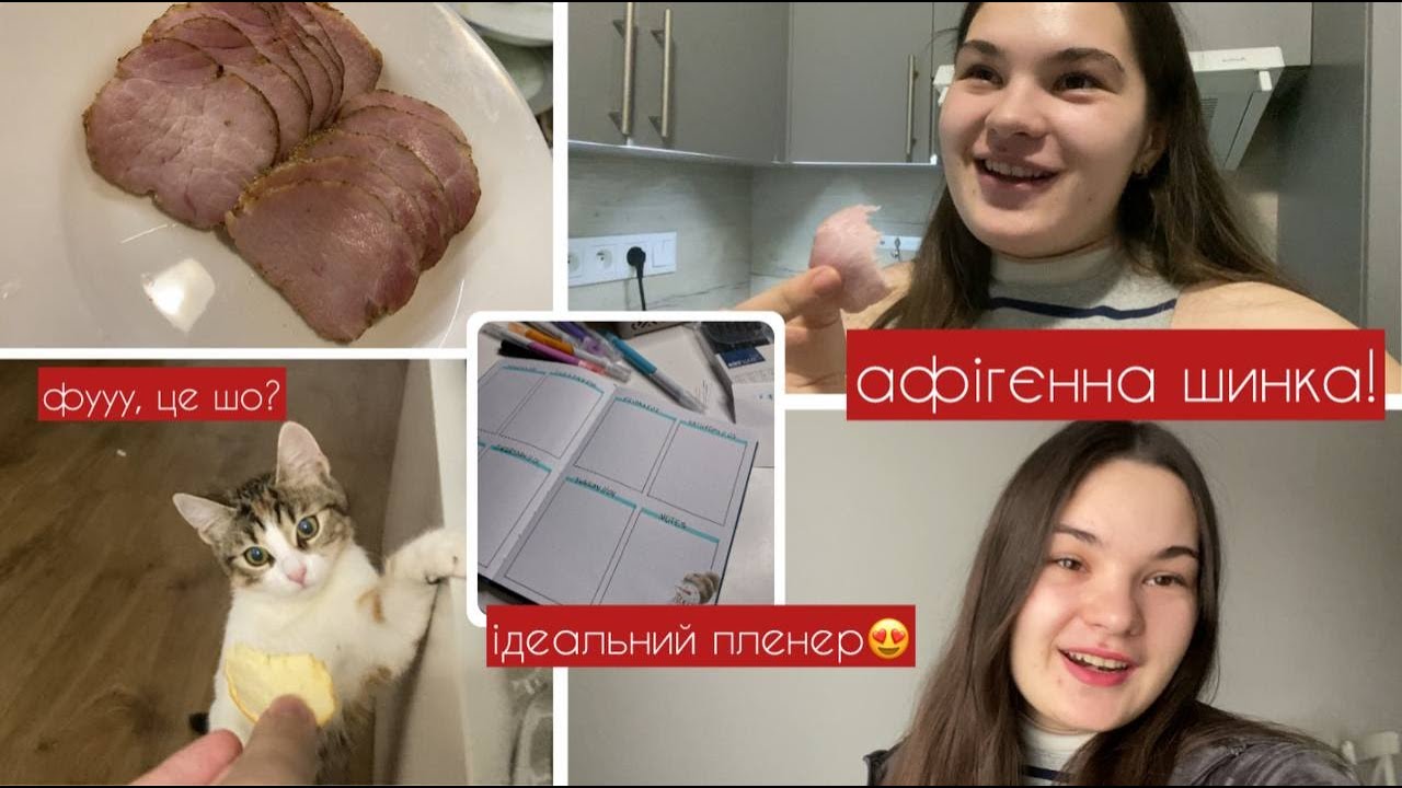Рецепт домашньої шинки в духовці😋 Киця і мандаринки🍊 Ось такий має бути планер!