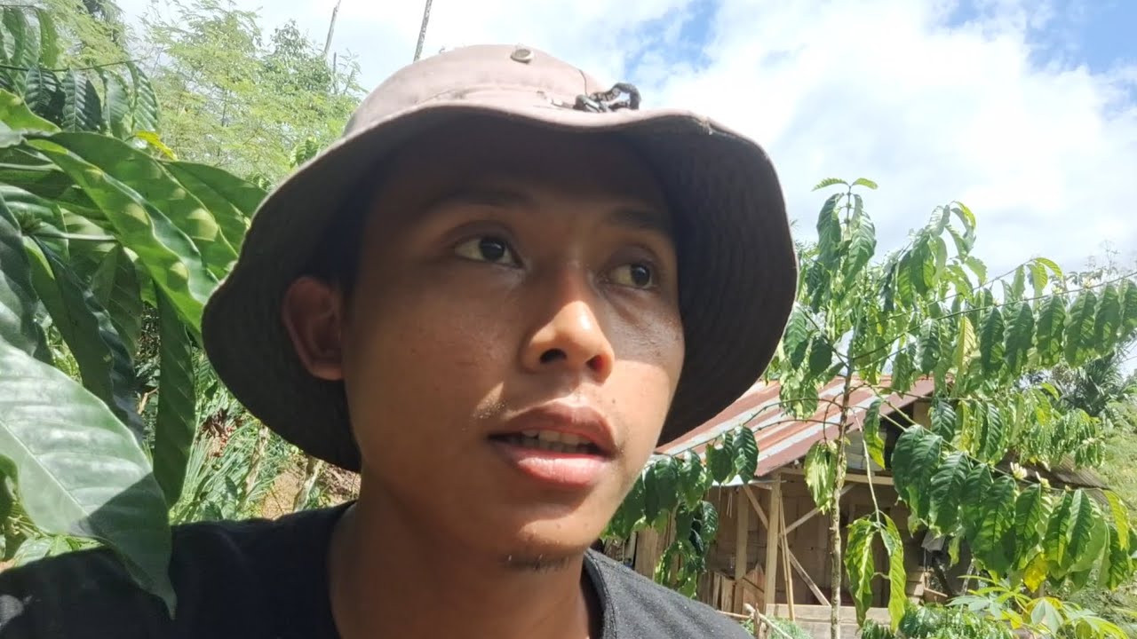 Pulang Dari Kebun, Aku Jual Kopi Ke Kampung, Kehidupan Nyata Pemuda Kebun