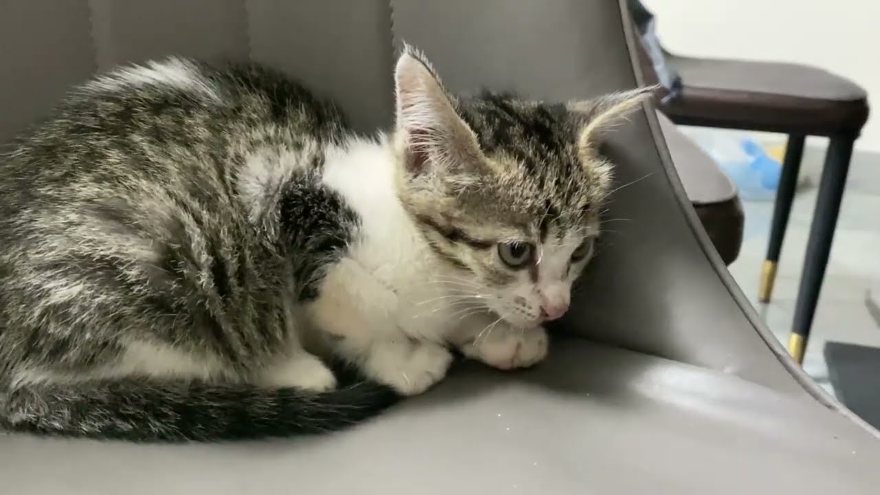 «Мама, ты можешь отвезти меня домой?» — он вцепился мне в руку, слабо умоляя о помощи!