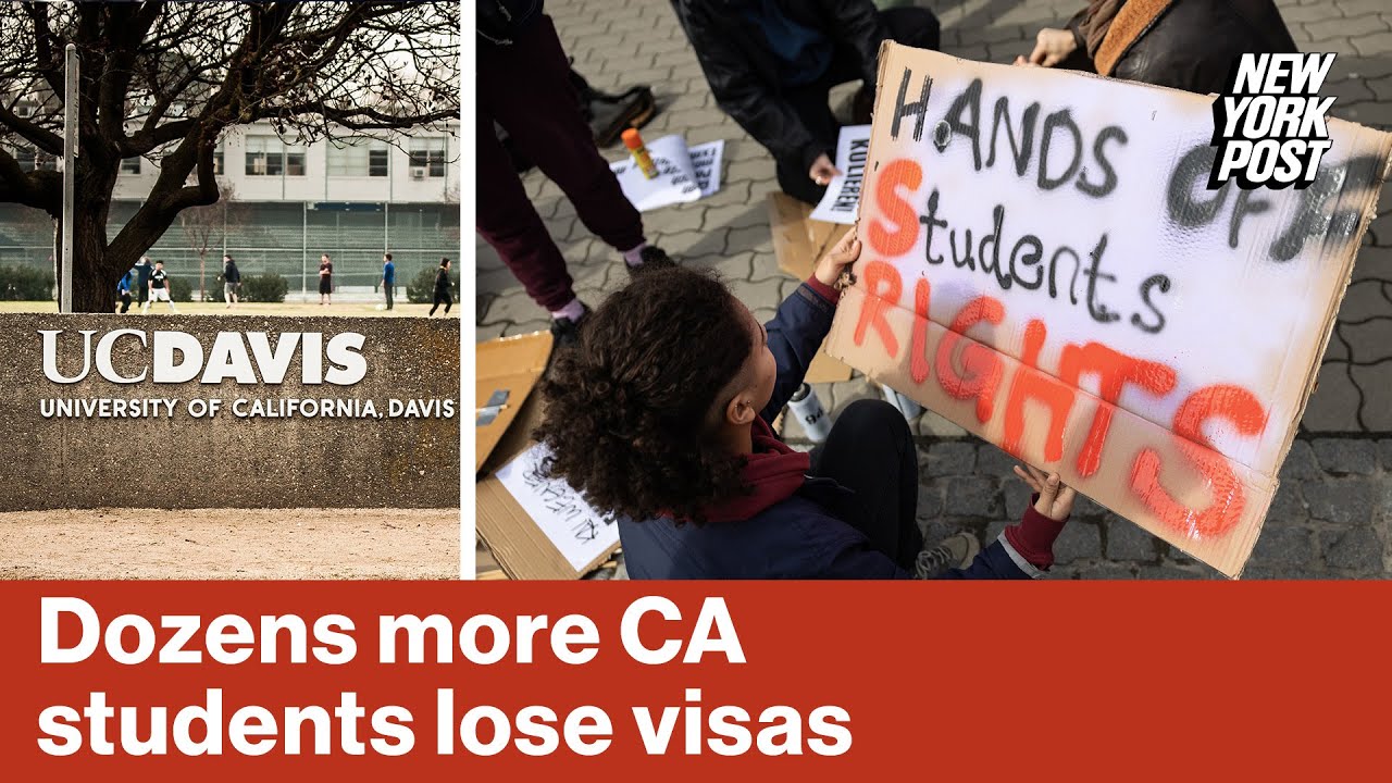 3 dozen more international students and alumni of Calif. universities lose visas: report