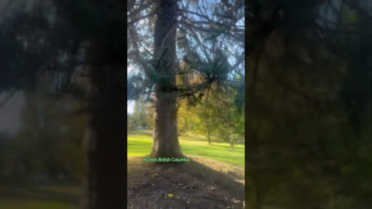 #GreenEscape