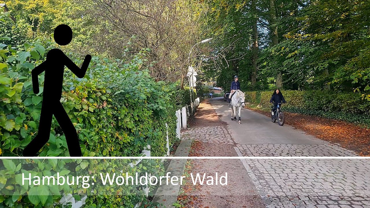 Der Geher in Hamburg: Wohldorfer Wald