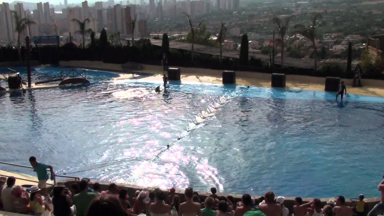 Mundomar 2011 part.1
