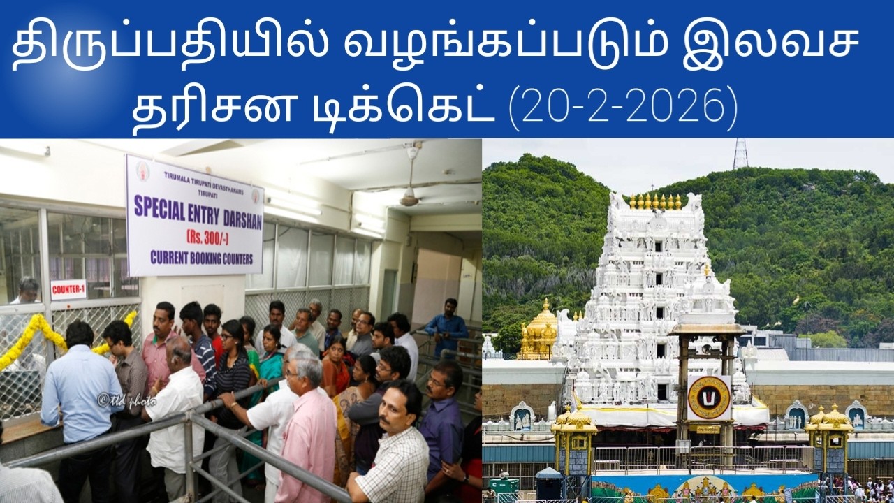 Tirupati updates today tamil | (20-2-2026)#tirupati