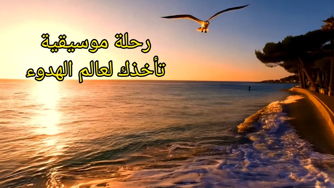 موسيقى مؤثرة وهادئة 