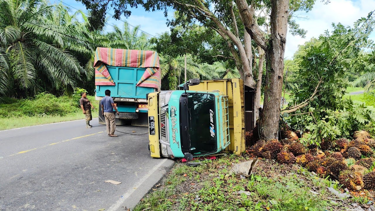 Evakuasi Truk Sawit Terguling Di Tarik Menggunakan Truk Dump, Sungguh Luar Biasa Mau Membantu