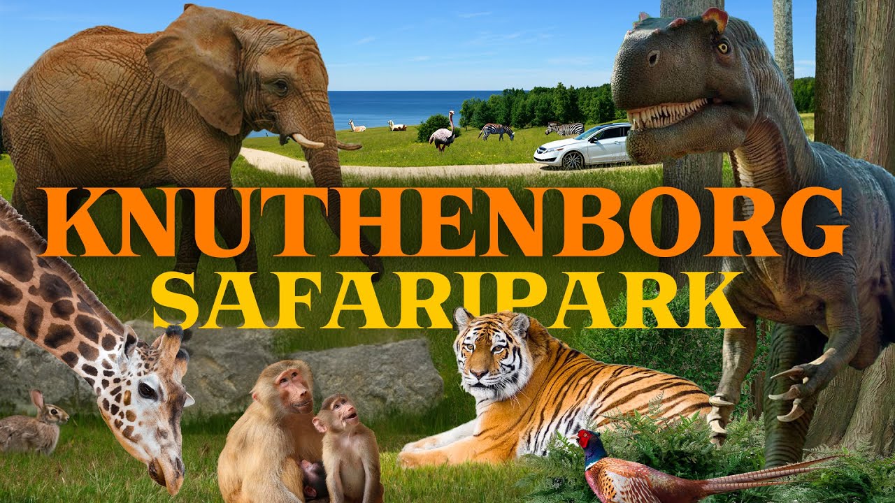 Knuthenborg Safaripark- Europes best Safari Park? | Zoo Review