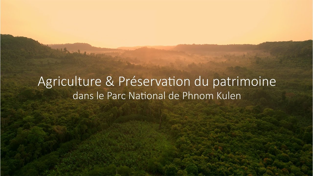 Agriculture durable et dynamiques territoriales au Cambodge (2022)