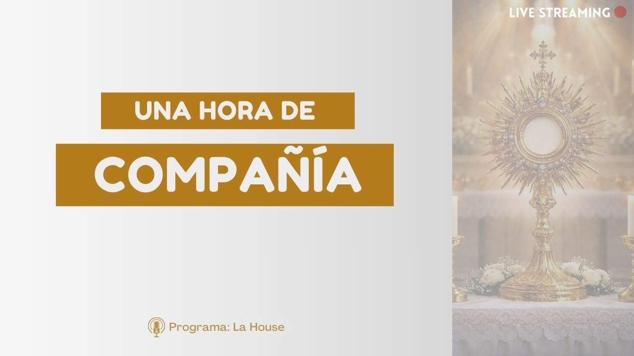 Una hora de compañía - Primera parte