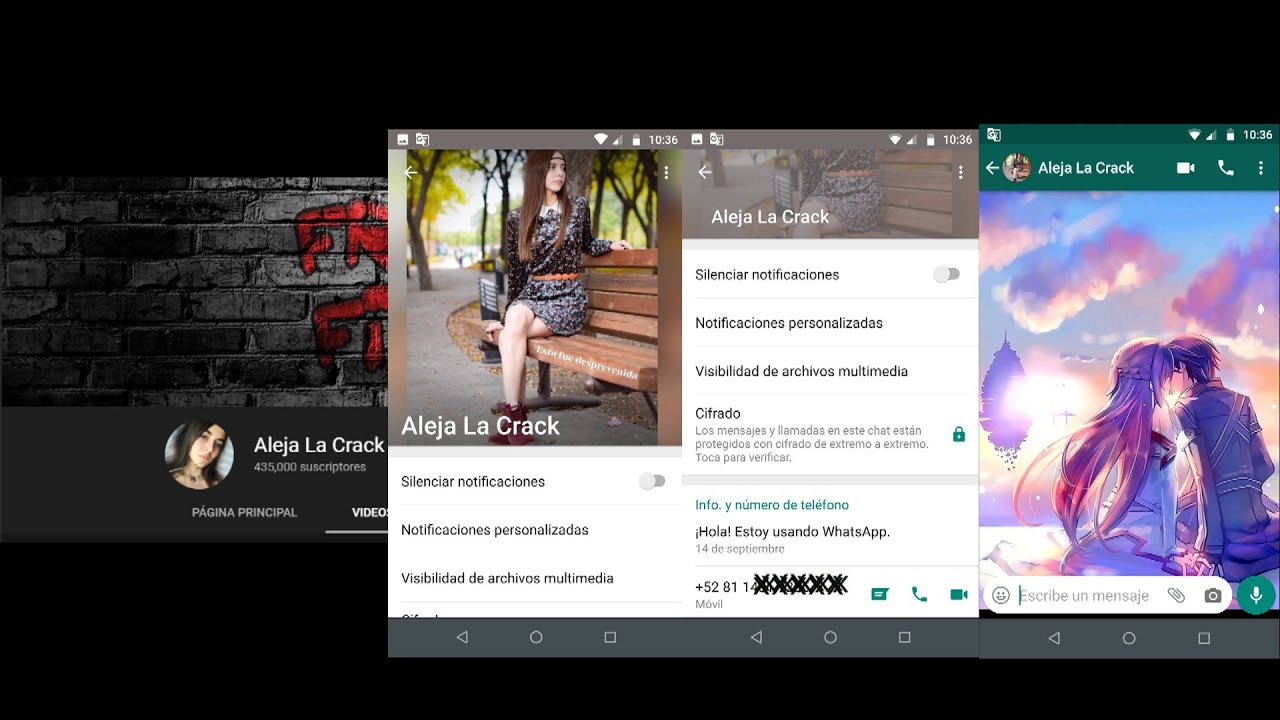 No lo creerán cracks BLONDIE.YT filtra el numero de Aleja La Crack y le declara su amor por Yair17
