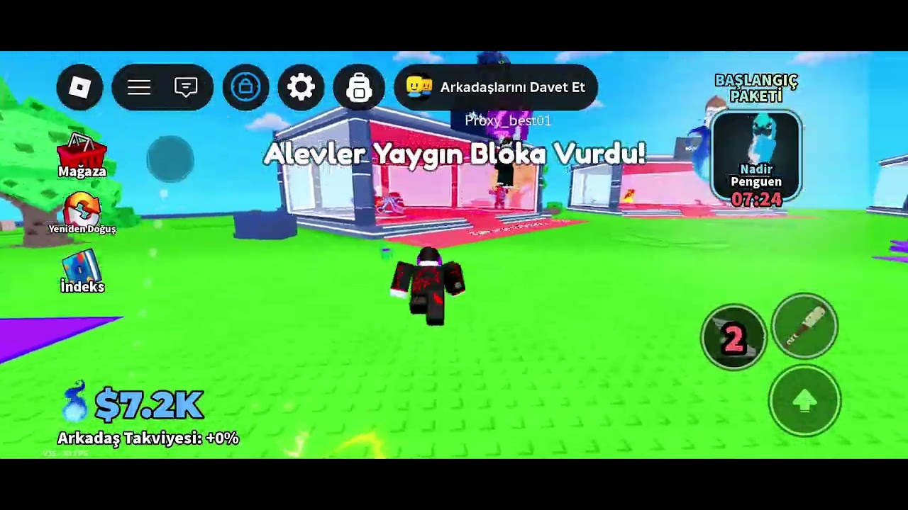 Roblox (aura farm) 
