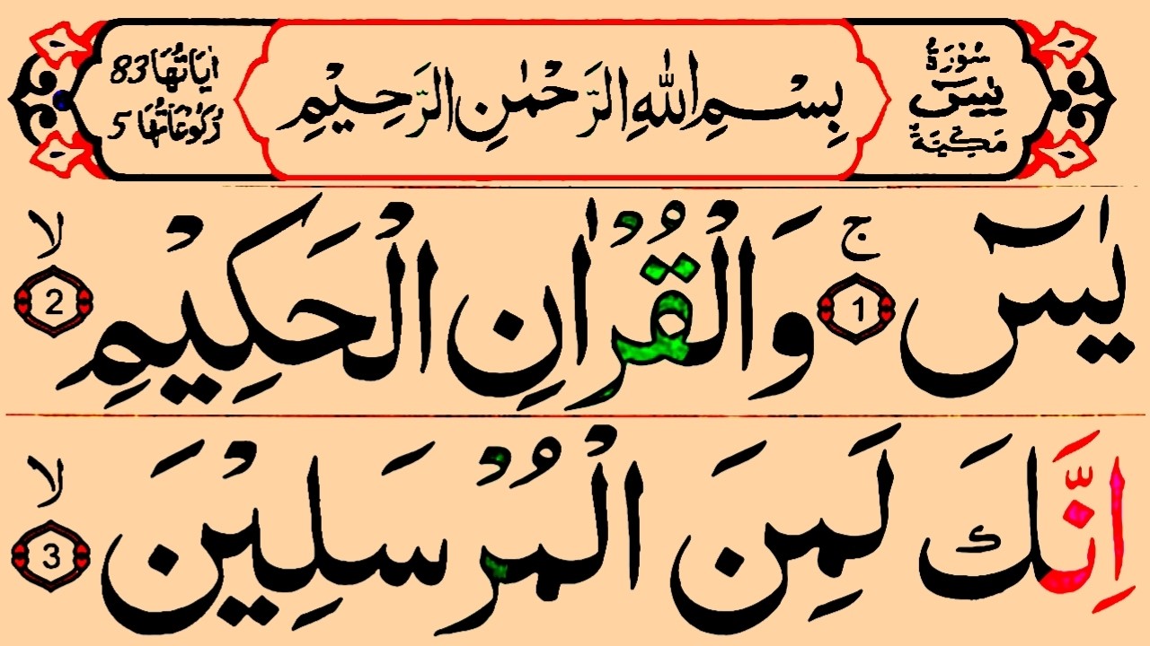 Surah Yaseen | Beautiful & Soothing Quran Recitation | Ep.551 @piam121 #quran#yaseen#recitation