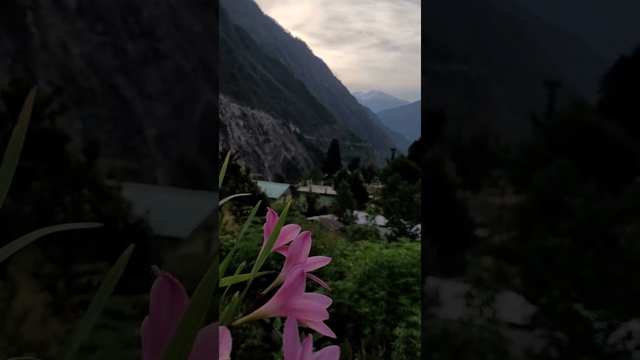 A morning in Urgam valley, Chamoli 