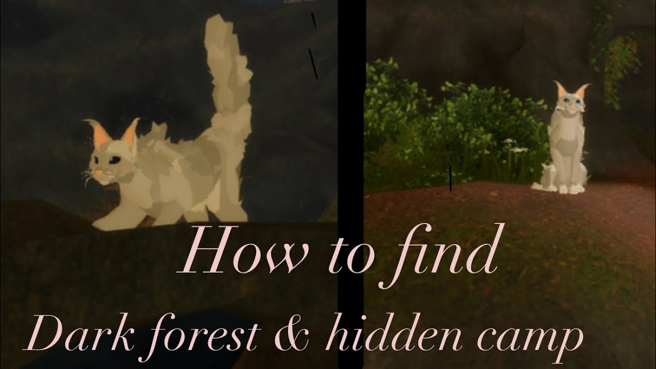 Lakeside tales:reborn : How to find the hidden camp and dark forest tutorial