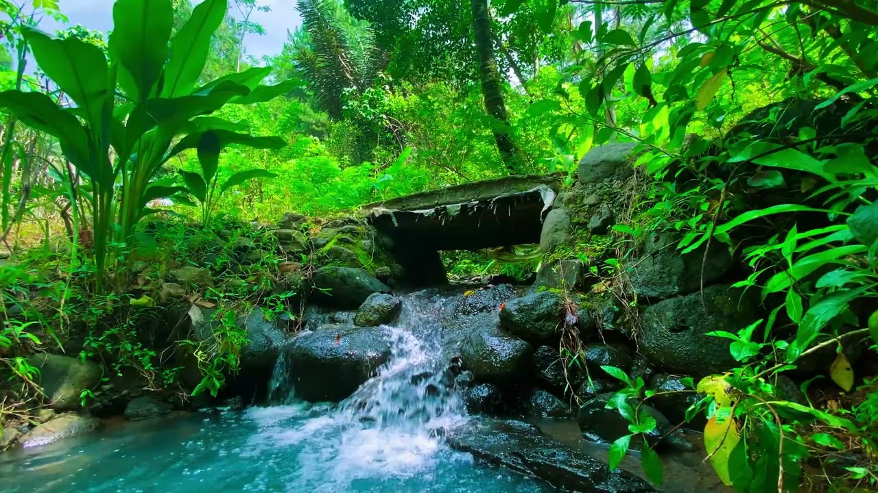 [ 4K ] Natural environmental sounds ASMR l Sounds of rivers with spring water l NATURE & CALM